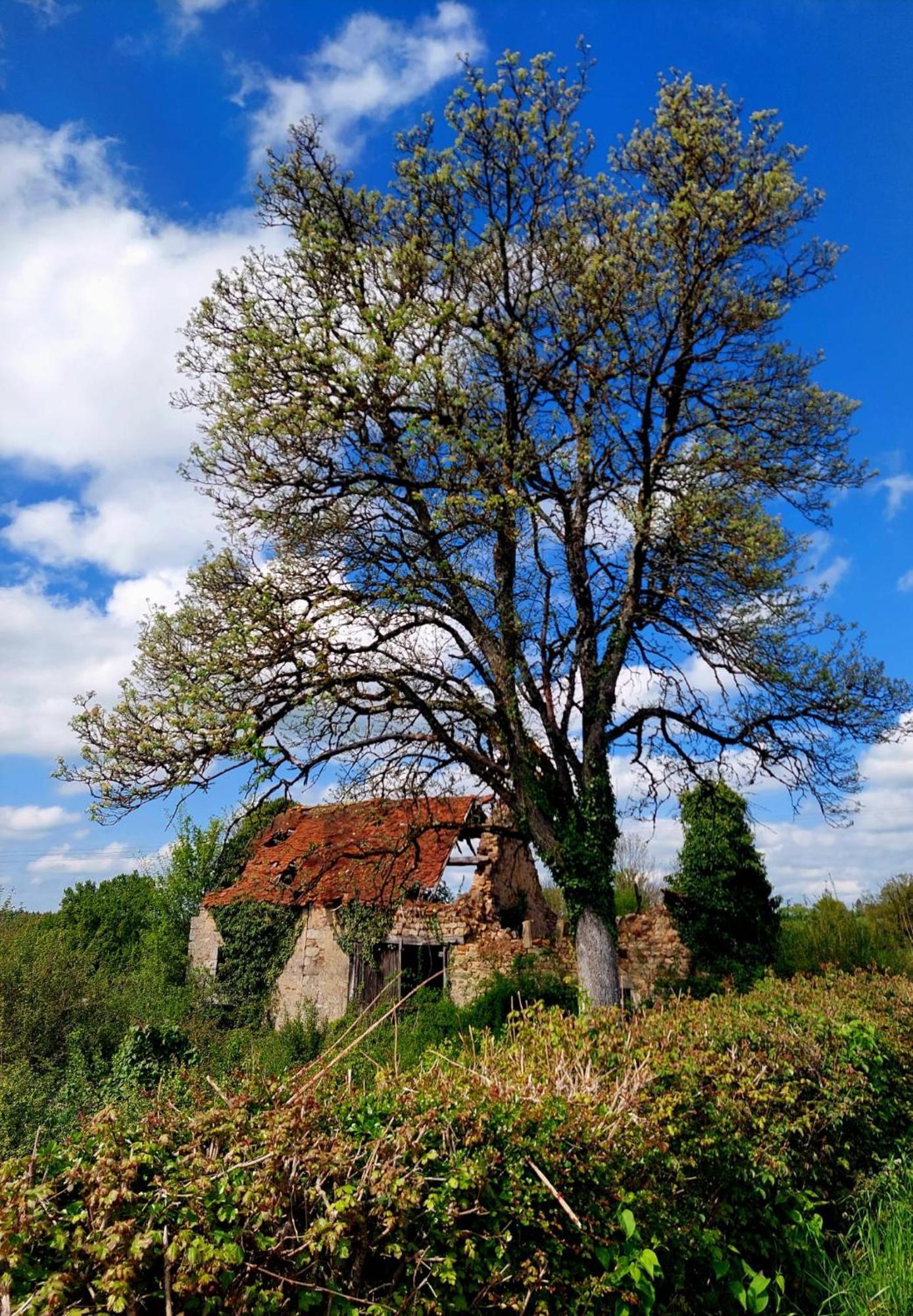 Saint-Aubin-en-Charollais Maison Du Grand Moulin מראה חיצוני תמונה